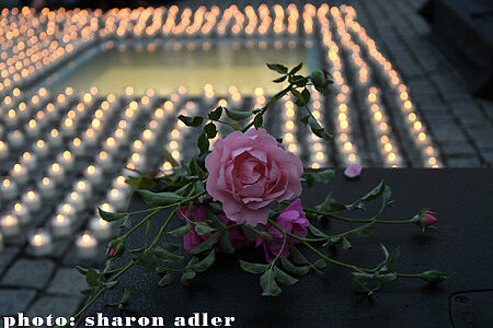 Ein Foto von vielen Kerzen, die auf dem Boden stehen. Ganz vorne - eine Rose.