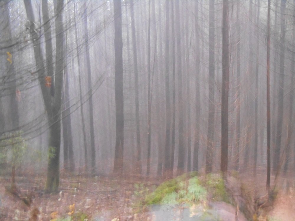 Bild 5 der Fotografien von Susanne L. Mayer 