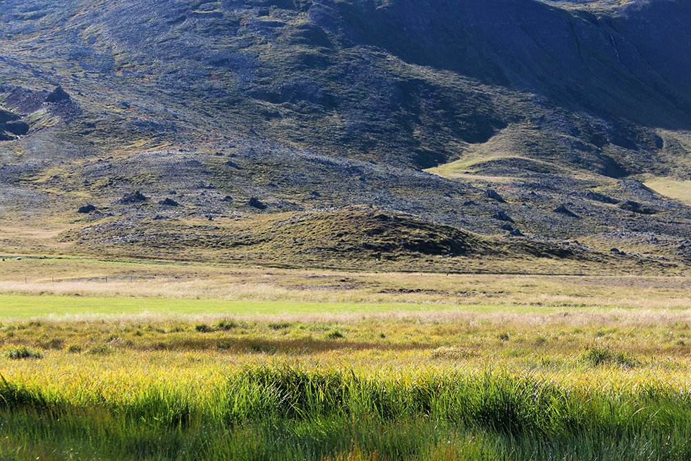 Wiesen auf Island