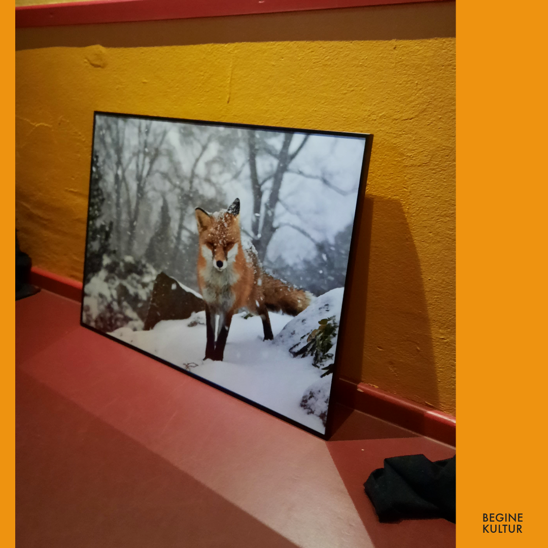 Ein eingerahmtes Foto von einem Fuchs im Winter