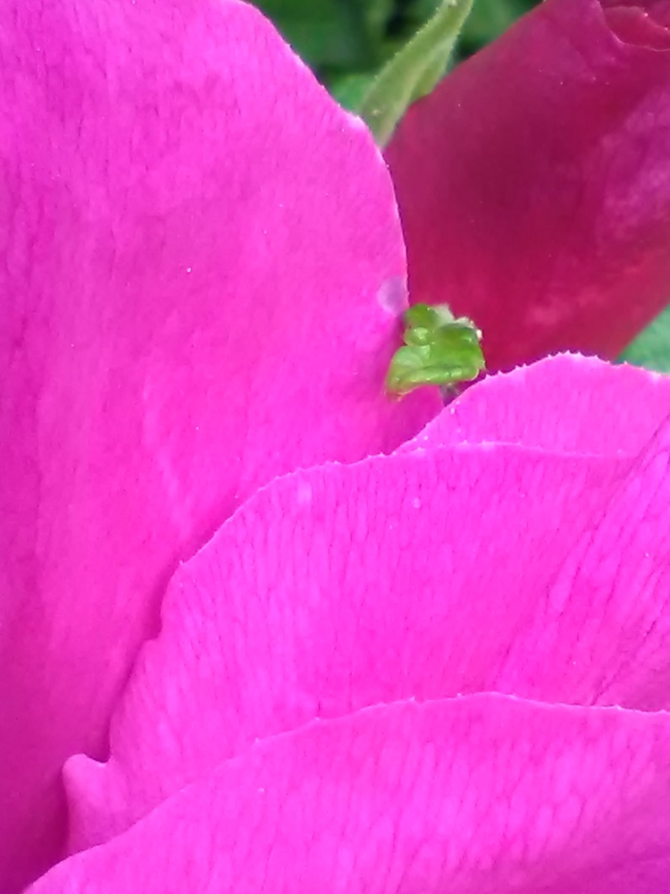 Bild 10 von Kasia Flak: Einblicke