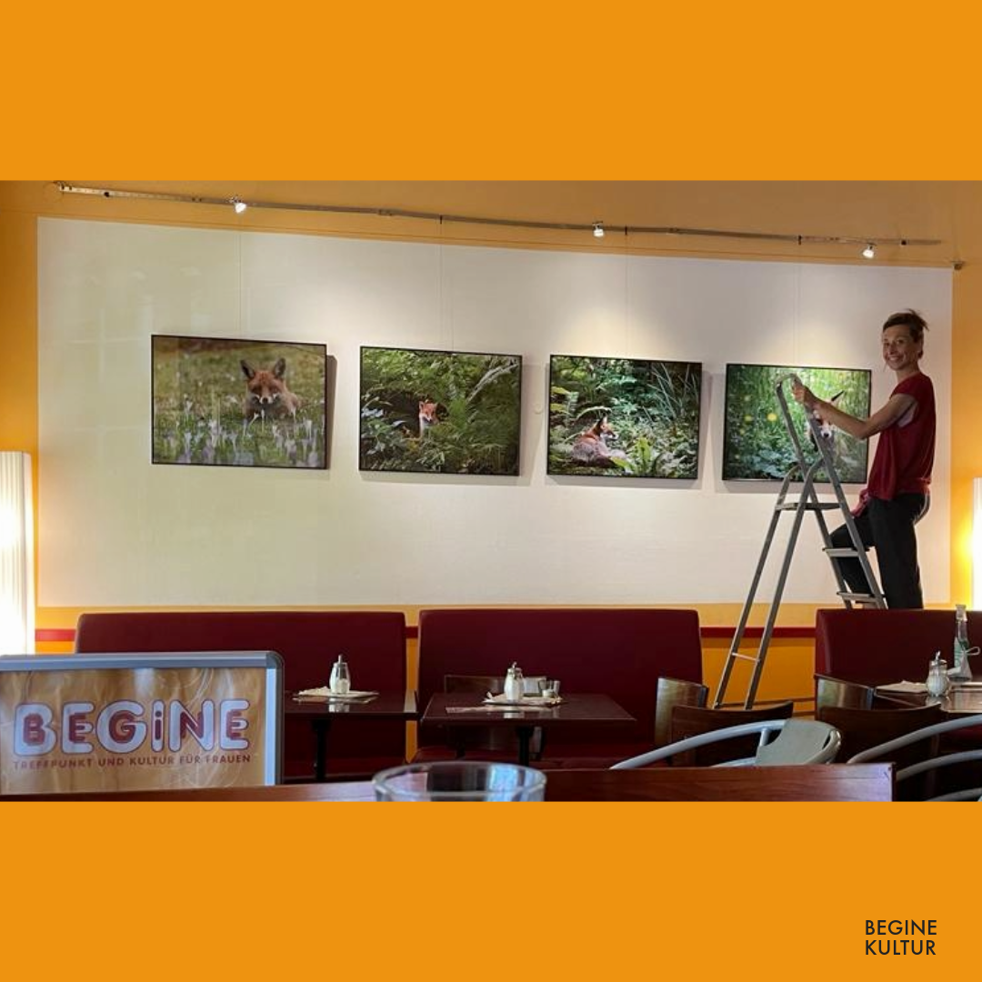 Ein Foto von einer Frau, die auf einer Leiter steht vor einer Wand mit vier Fotos von Füchsen.